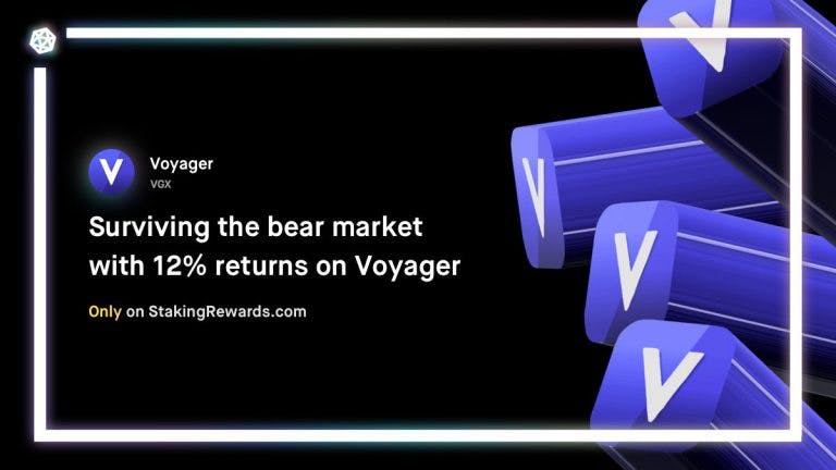 Navigating the Bear Market with 12% returns on Voyager 