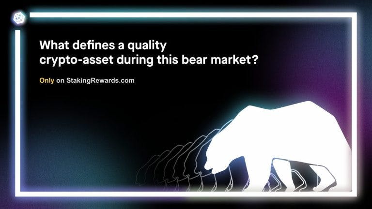 What defines a quality crypto-asset during this bear market?