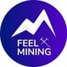 Feel Mining