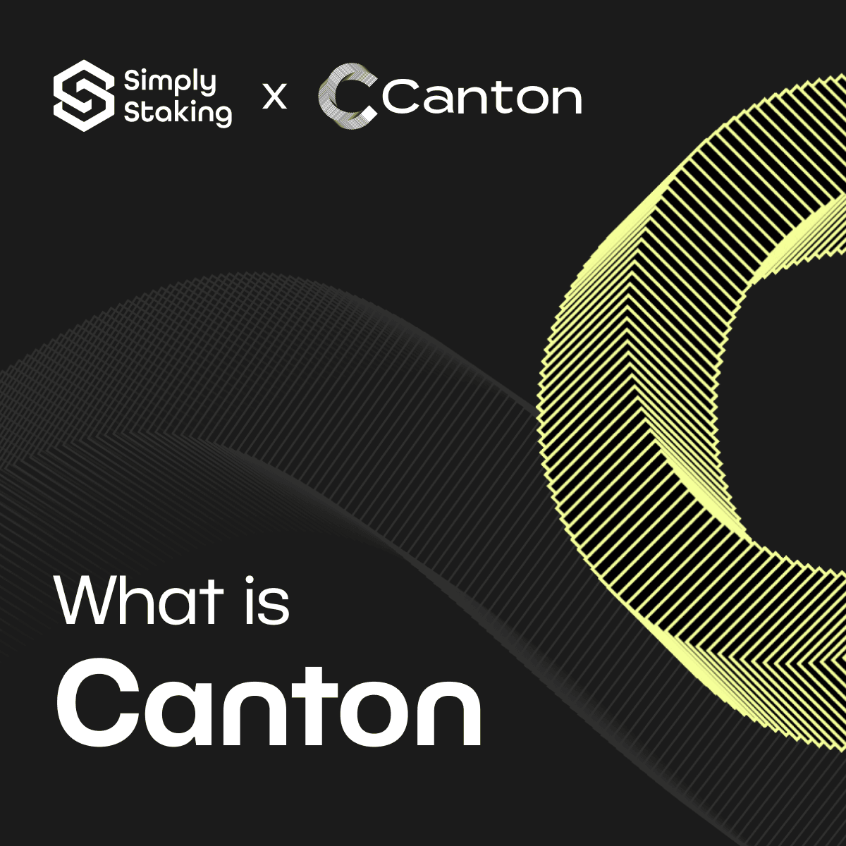 What is Canton? Introduction to Canton Network